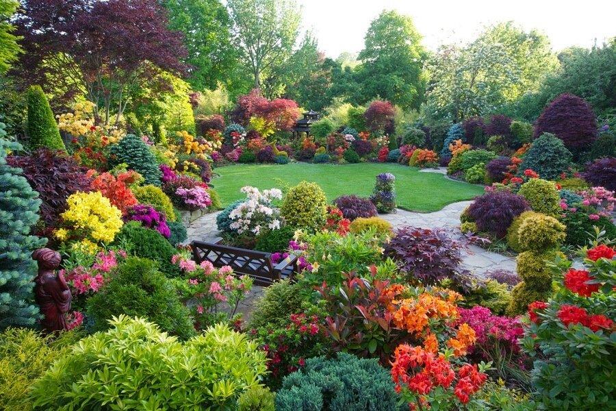 Annuals vs. Perennials: Which Should You Plant